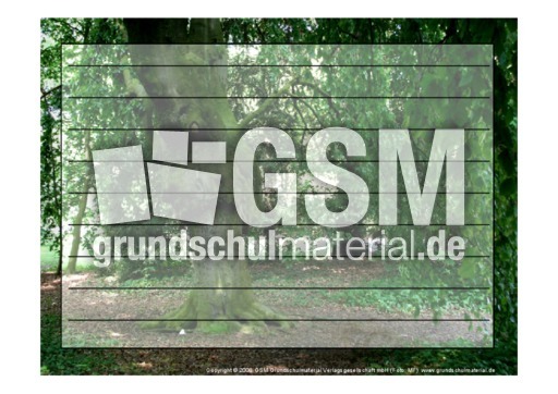 Foto-Schmuckblatt-Bäume-14.pdf